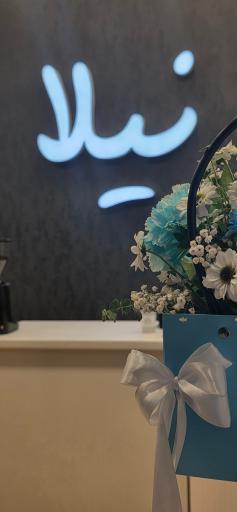 عکس جلاتو نیلا