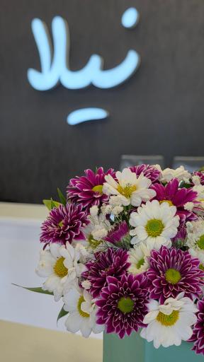 عکس جلاتو نیلا