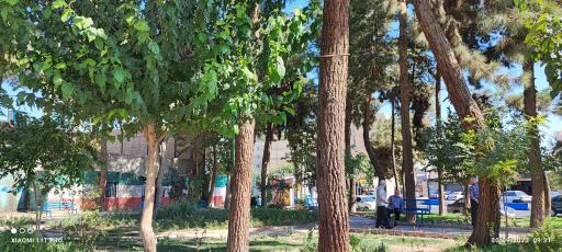 عکس پارک اسماعیل آباد