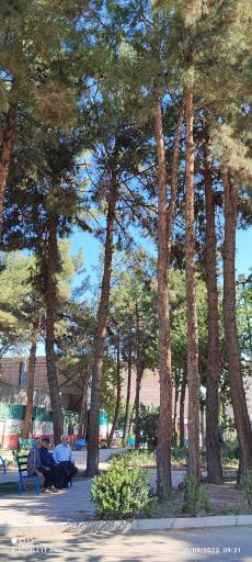 پارک اسماعیل آباد