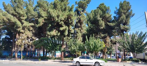 عکس پارک اسماعیل آباد