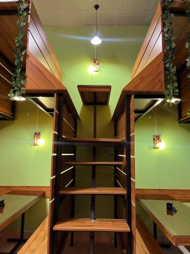 عکس کباب طوری