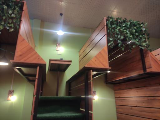 عکس کباب طوری