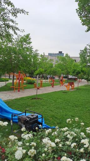 عکس بوستان پیچک