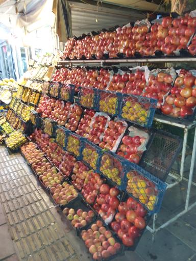 عکس میوه سرای نارنج