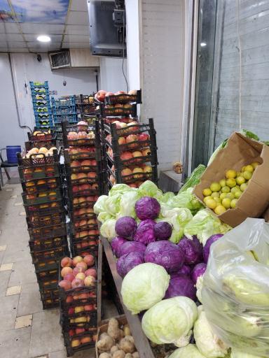 عکس میوه سرای نارنج