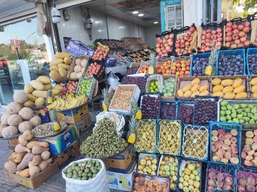 عکس میوه سرای نارنج