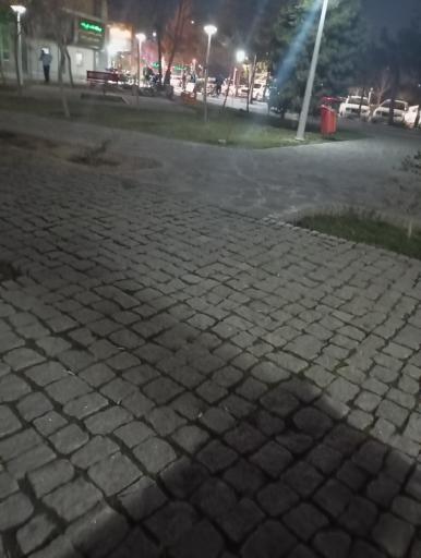 عکس بوستان پیچک