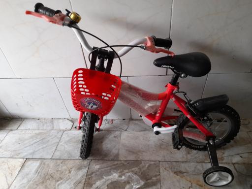 عکس دوچرخه سازی امیر