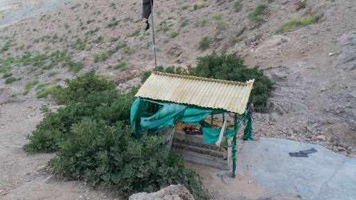 عکس بی بی مراد