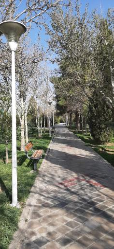 عکس بوستان لاله