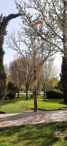 عکس بوستان لاله