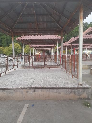 عکس کمپ ساحلی