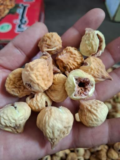 عکس  خشکبار نوذری 