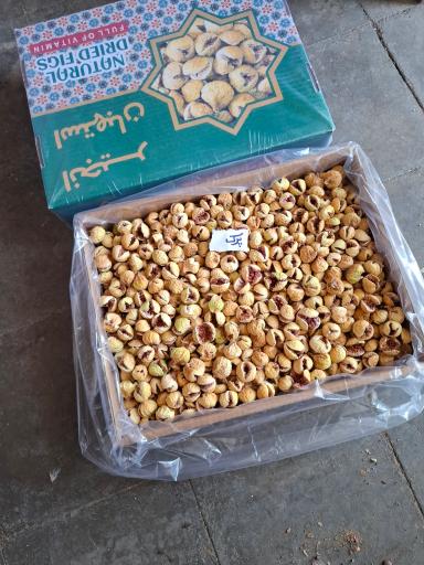 عکس  خشکبار نوذری 