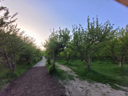 عکس اقامتگاه بومگردی بادام
