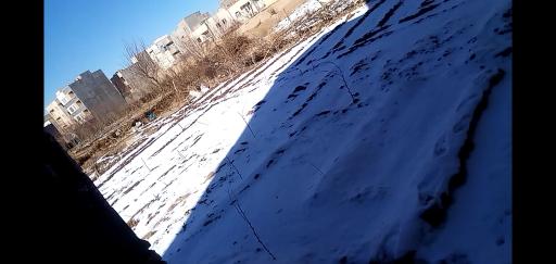 عکس باغ سبزی صنوبر