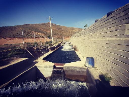 عکس پرورش ماهی چشمه چاوک مسعودآباد