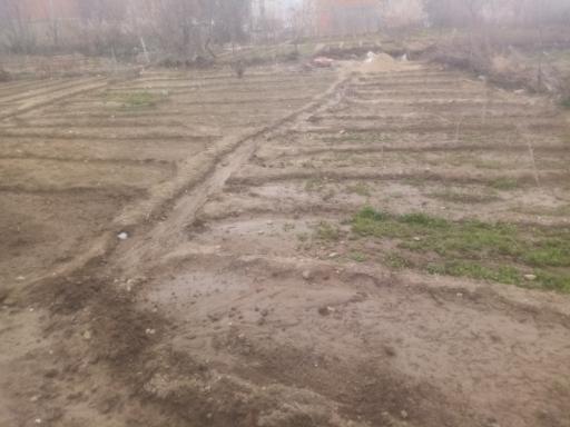 عکس باغ سبزی صنوبر