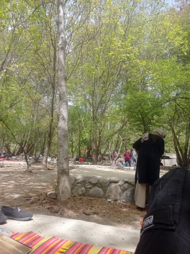 عکس برکه ماهیگیری سیفیش