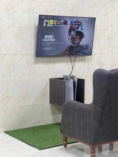 عکس مستر گیم