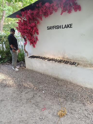 عکس برکه ماهیگیری سیفیش