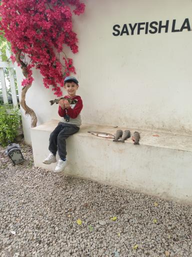 عکس برکه ماهیگیری سیفیش