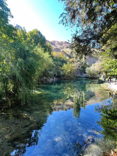 عکس برکه ماهیگیری سیفیش