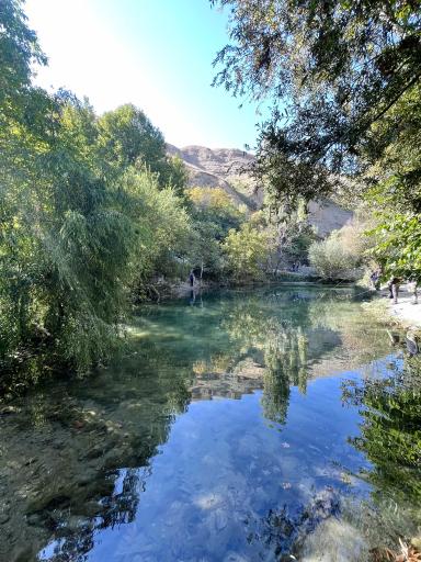 عکس برکه ماهیگیری سیفیش