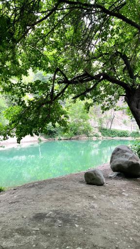 عکس برکه ماهیگیری سیفیش