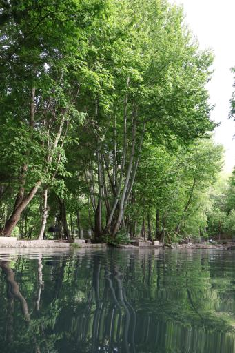 عکس برکه ماهیگیری سیفیش