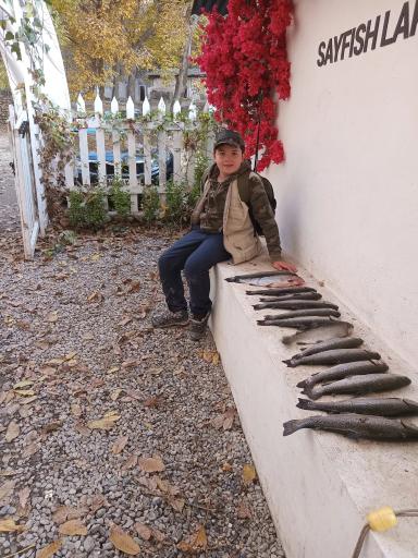 عکس برکه ماهیگیری سیفیش