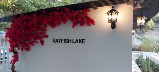 عکس برکه ماهیگیری سیفیش