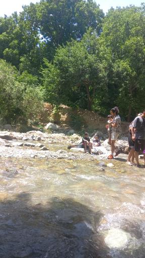 عکس برکه ماهیگیری سیفیش