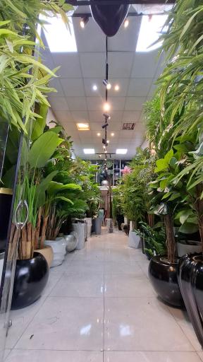 عکس گل فروشی سارا