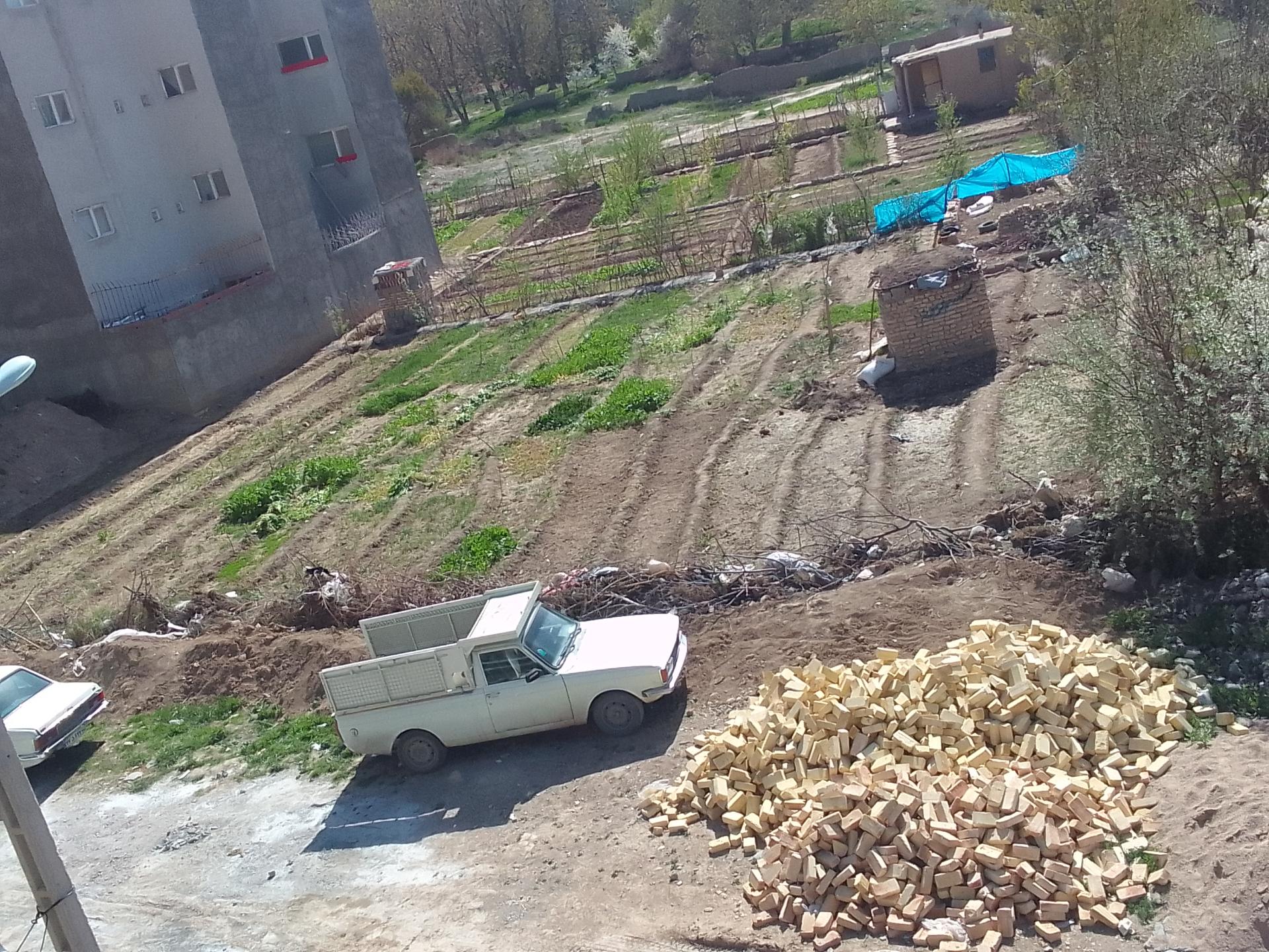 عکس باغ سبزی صنوبر