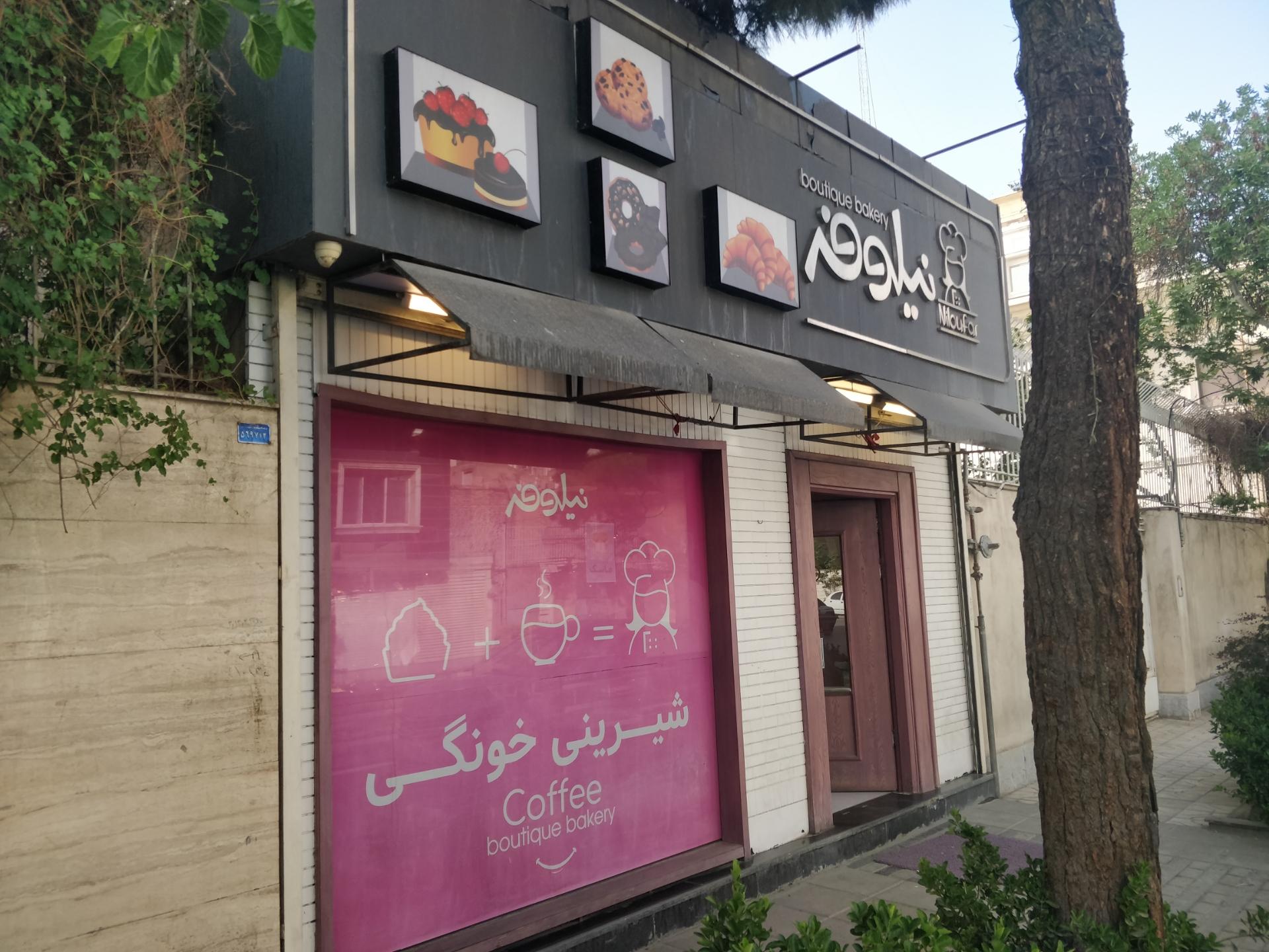 عکس شیرینی خانگی نیلوفر