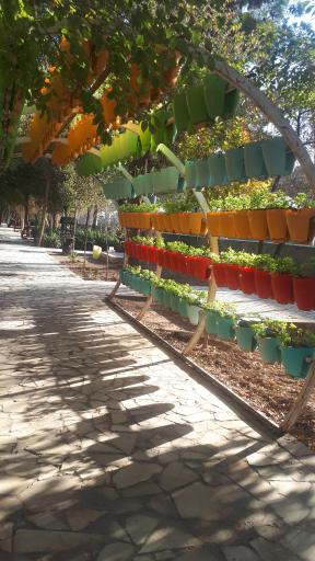 عکس بوستان صدر