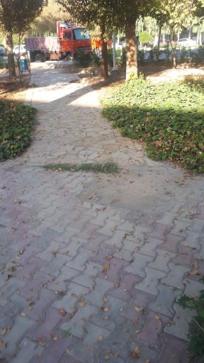 عکس بوستان صدر