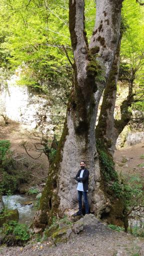 عکس آبشار ویوز