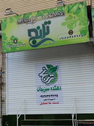 عکس دهکده سبزیجات ترنج