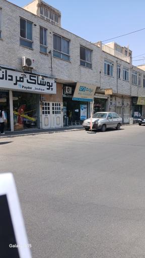 بیمه دی