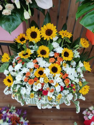 عکس گلفروشی پارمیس