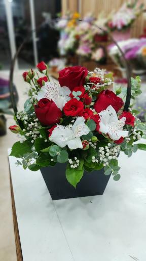 عکس گلفروشی پارمیس