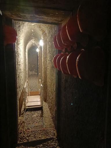 عکس علمکده گردو