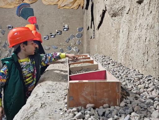 عکس علمکده گردو