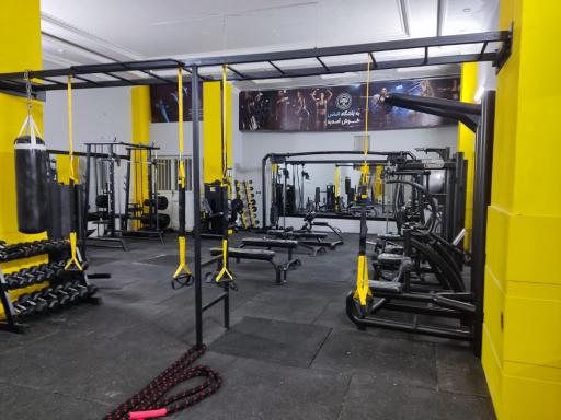 عکس باشگاه بانوان الماس