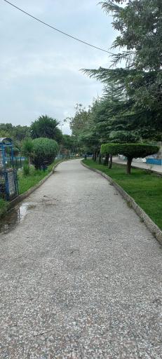 عکس گلستان نوشیروانی