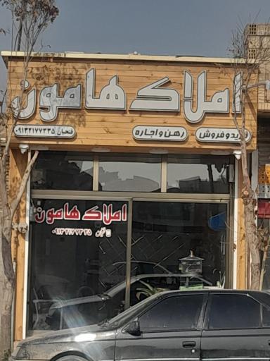 عکس مشاور املاک هامون