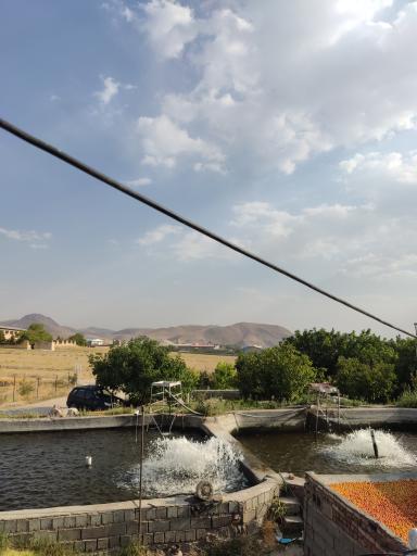 عکس پرورش ماهی صابری 